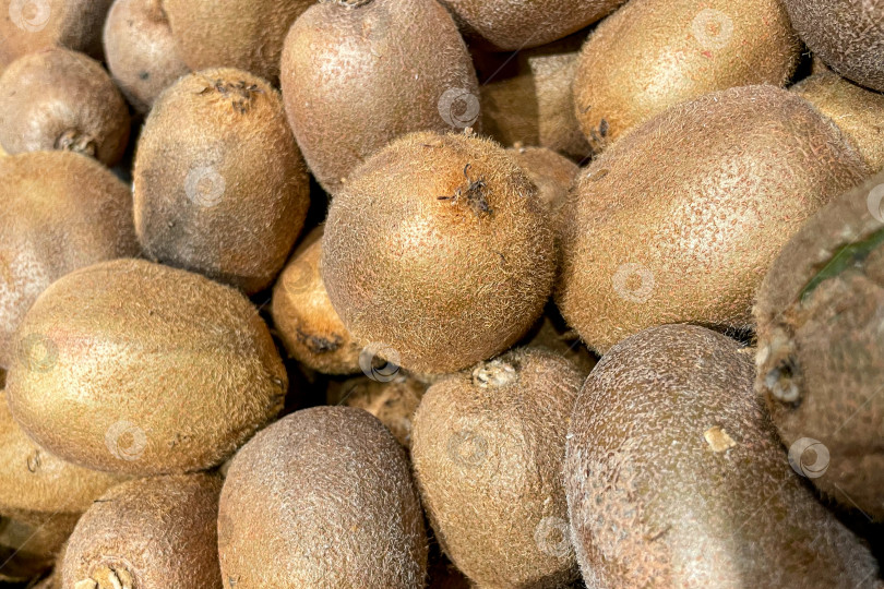 Скачать Киви в корзине в продуктовом магазине, фрукты и овощи продаются на рынке фотосток Ozero