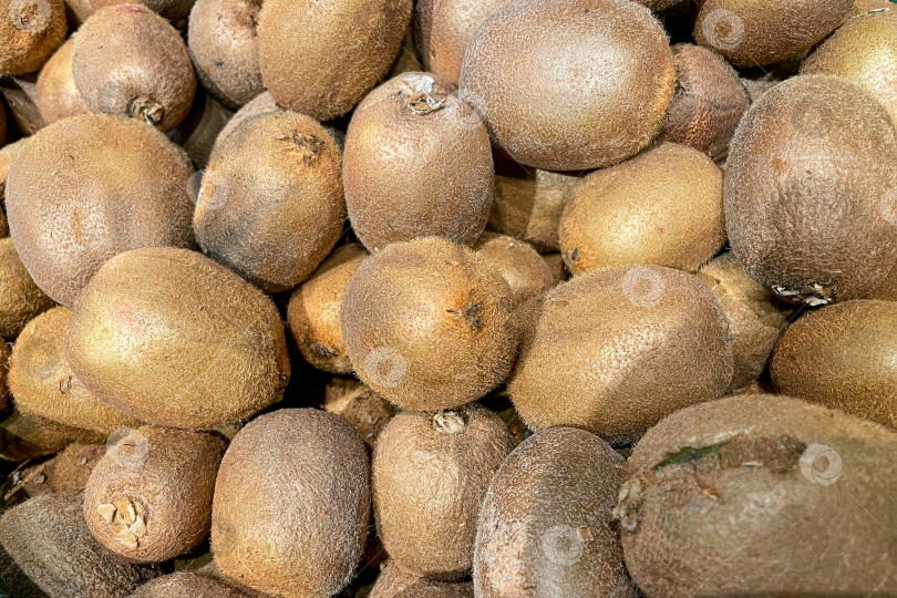 Скачать Киви в корзине в продуктовом магазине, фрукты и овощи продаются на рынке фотосток Ozero