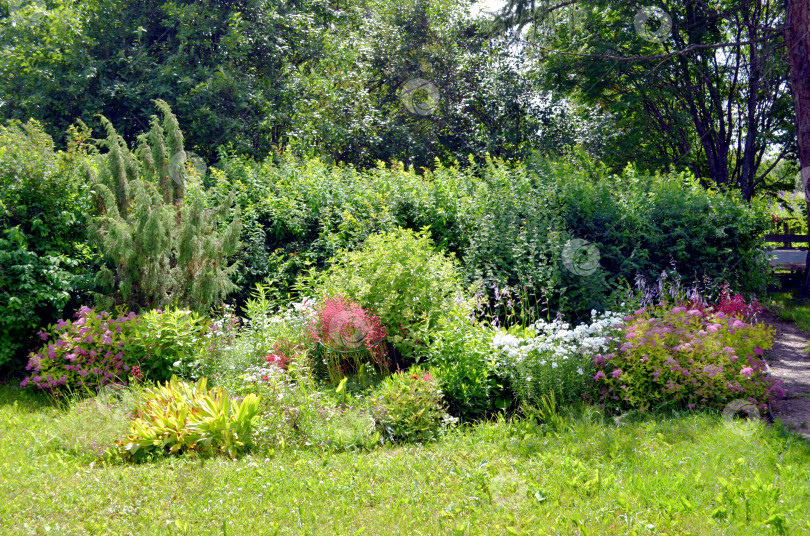 Скачать цветник на даче фотосток Ozero