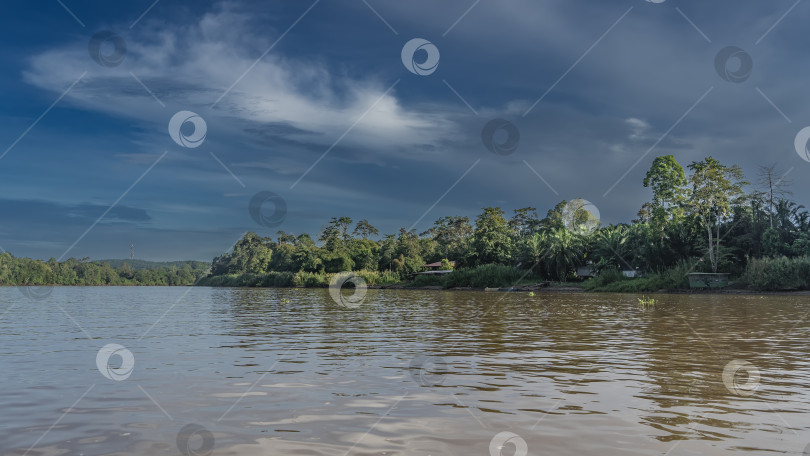Скачать Тропическая река в джунглях. Рябь на блестящей воде. фотосток Ozero