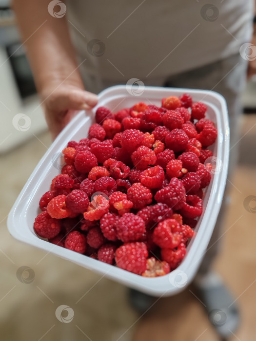 Скачать Малинка фотосток Ozero