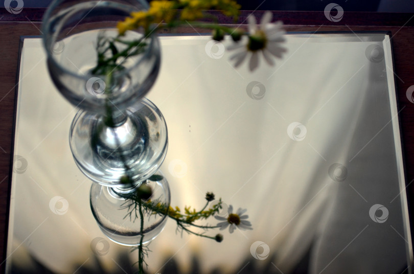 Скачать ромашки и бокал фотосток Ozero