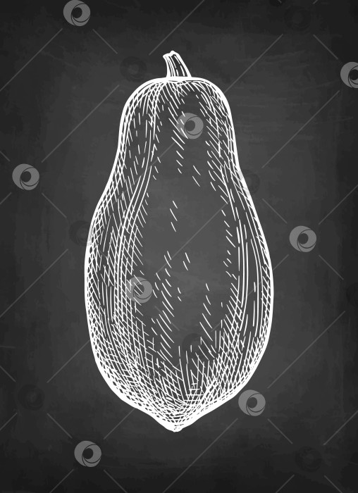 Скачать Набросок мелом из папайи. фотосток Ozero