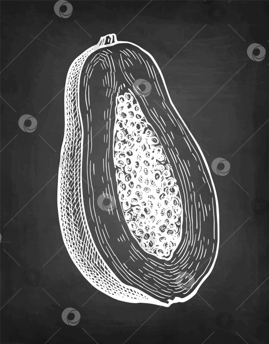 Скачать Набросок мелом из папайи. фотосток Ozero