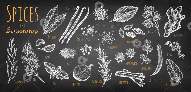 Скачать Рисунки мелом специй и трав. фотосток Ozero