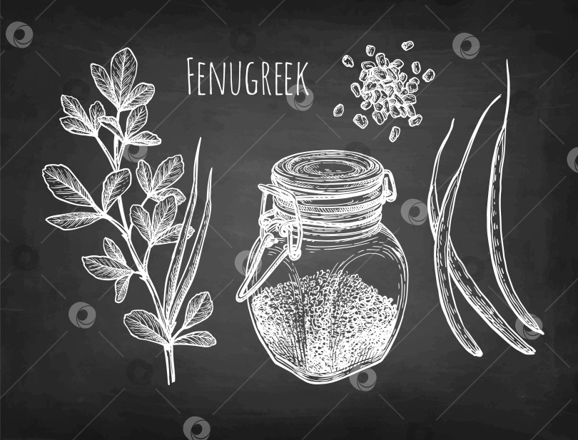 Скачать Набросок мелом из пажитника фотосток Ozero