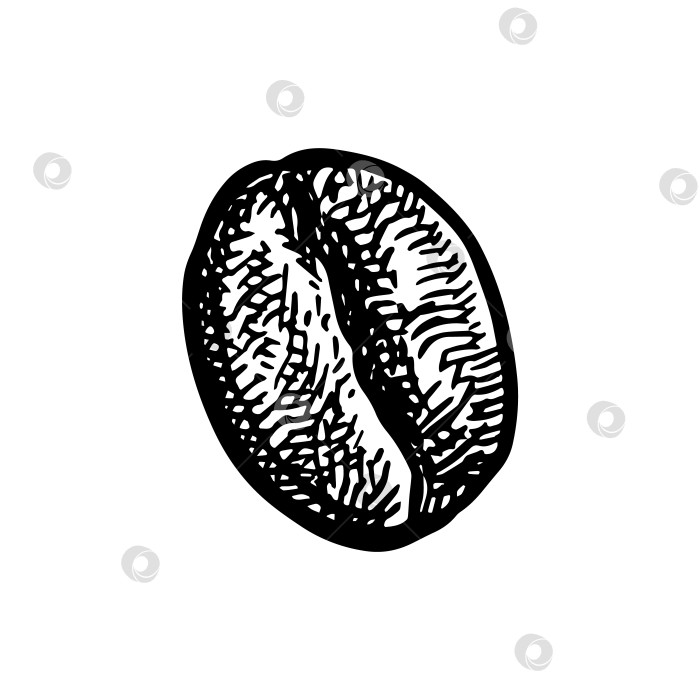 Скачать Набросок тушью в кофейных зернах. фотосток Ozero