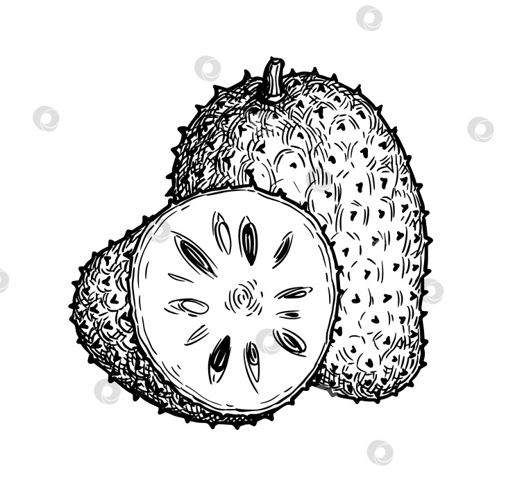 Скачать Цельный и нарезанный сметаной. фотосток Ozero