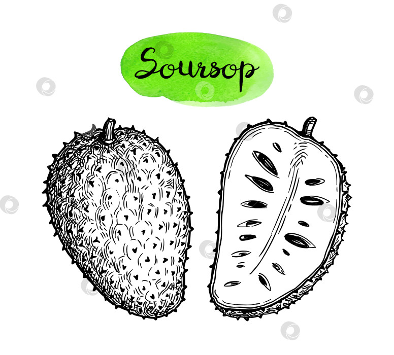 Скачать Цельный и разрезанный пополам сметанный сок. фотосток Ozero