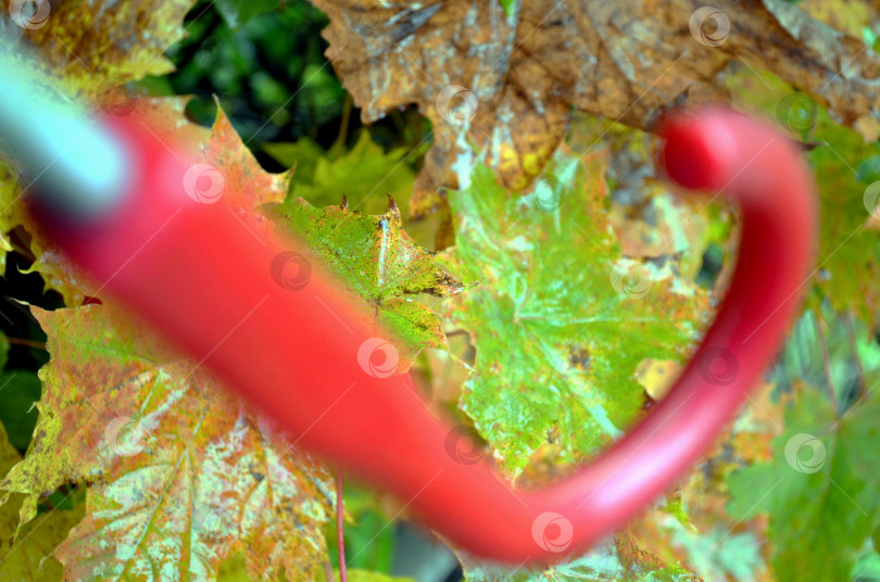 Скачать осенний пейзаж фотосток Ozero