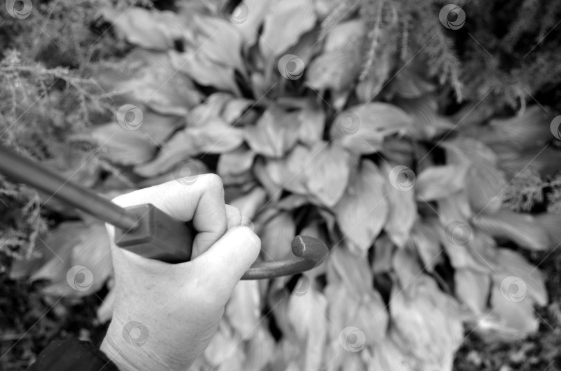 Скачать осенний пейзаж ч\б фото фотосток Ozero