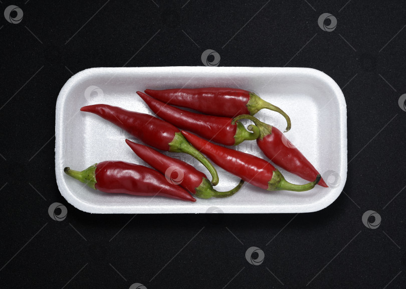 Скачать Красный стручковый перец на пластиковой подложке. Стручки красного перца. фотосток Ozero