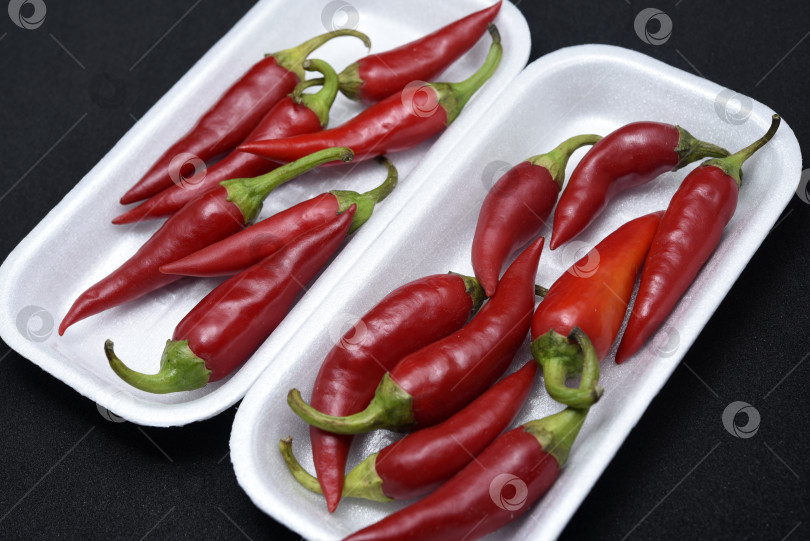 Скачать Красный стручковый перец на пластиковой подложке. Стручки красного перца. фотосток Ozero