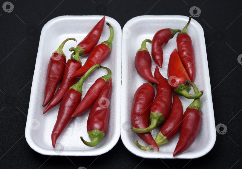 Скачать Красный стручковый перец на пластиковой подложке. Стручки красного перца. фотосток Ozero