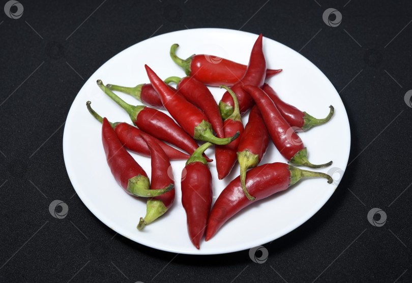 Скачать Красный стручковый перец на белой тарелке. Стручки красного перца. фотосток Ozero