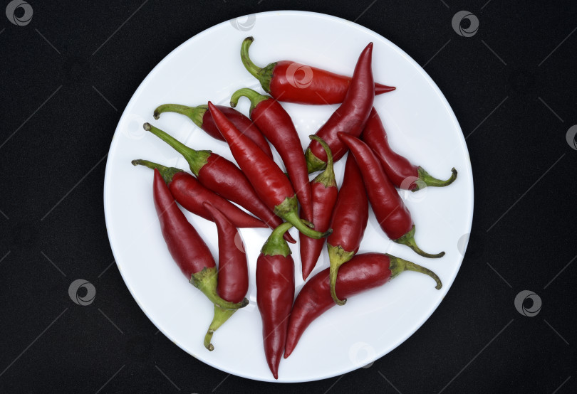 Скачать Красный стручковый перец на белой тарелке. Стручки красного перца. фотосток Ozero