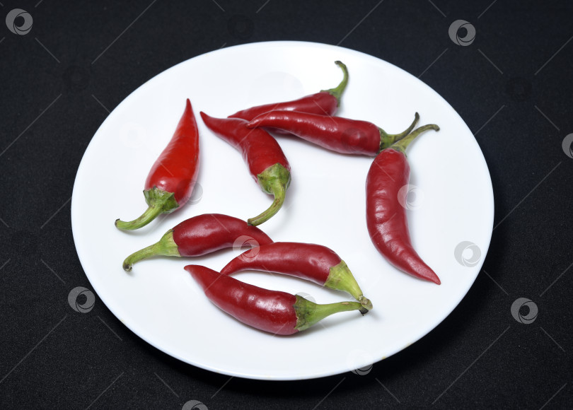 Скачать Красный стручковый перец на белой тарелке. Стручки красного перца. фотосток Ozero