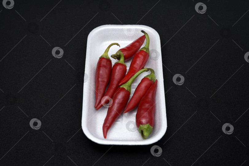 Скачать Красный стручковый перец на пластиковой подложке. Стручки красного перца. фотосток Ozero