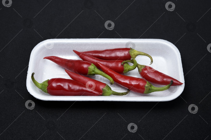 Скачать Красный стручковый перец на пластиковой подложке. Стручки красного перца. фотосток Ozero