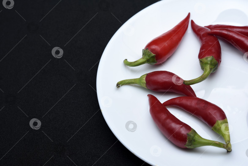 Скачать Красный стручковый перец на белой тарелке. Стручки красного перца. фотосток Ozero
