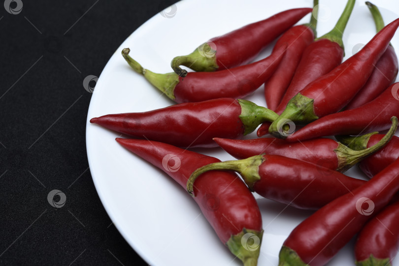 Скачать Красный стручковый перец на белой тарелке. Стручки красного перца. фотосток Ozero