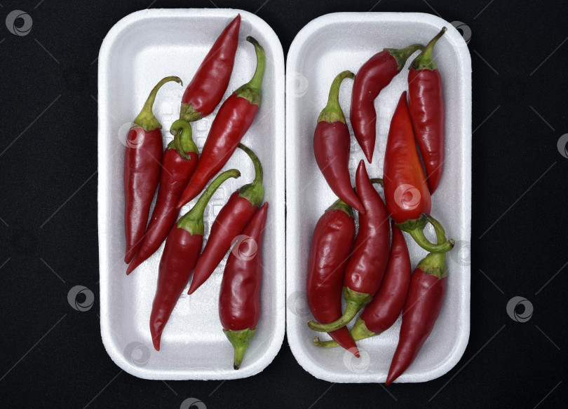 Скачать Красный стручковый перец на пластиковой подложке. Стручки красного перца. фотосток Ozero