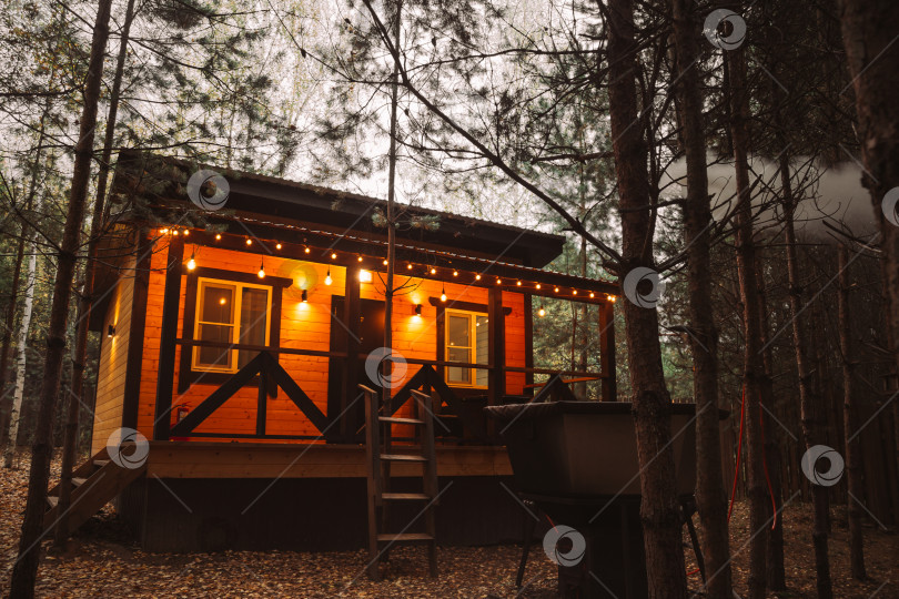 Скачать В темноте осеннего вечера на террасе деревянного коттеджа горит лампа над входной дверью и гирлянда, освещающая деревья туи, травянистый газон и выложенные плиткой дорожки. На небе облака фотосток Ozero