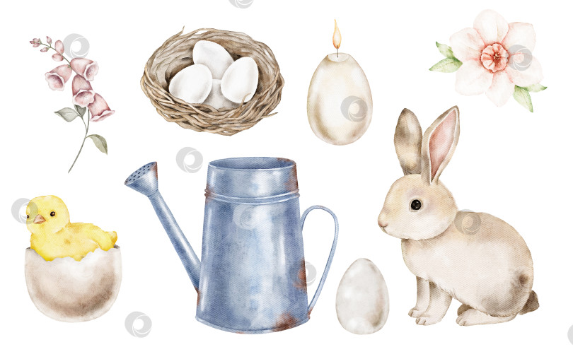 Скачать Набор акварельных пасхальных картинок, включающий кролика, гнездо с яйцами, цветы, металлический кувшин, цыпленка и декоративные элементы. Идеально подходит для открыток, плакатов, упаковки, поделок и сезонных дизайнерских композиций. фотосток Ozero