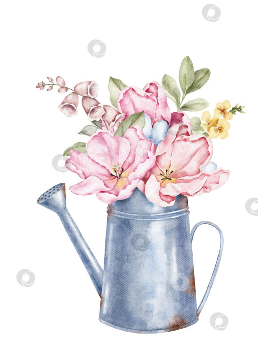 Скачать Акварельная иллюстрация металлического кувшина, наполненного нежными розовыми цветами и нежной зеленью. Подходит для открыток, упаковки, этикеток, плакатов, принтов для домашнего декора и весенних тематических дизайнерских проектов. фотосток Ozero