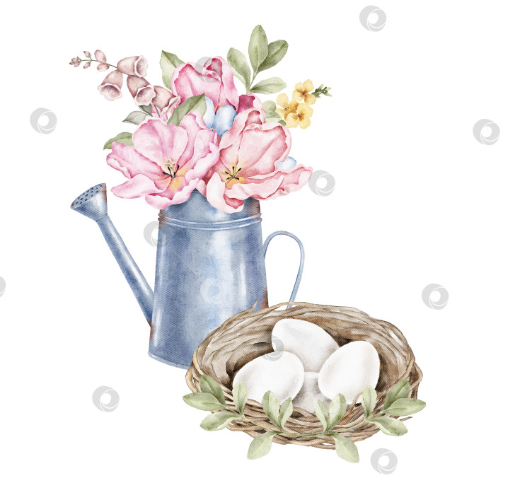 Скачать Акварельная пасхальная композиция с металлическим кувшином с розовыми цветами и гнездышком с белыми яйцами внизу. Подходит для праздничных открыток, плакатов, упаковки, весеннего декора и творческих сезонных проектов. фотосток Ozero