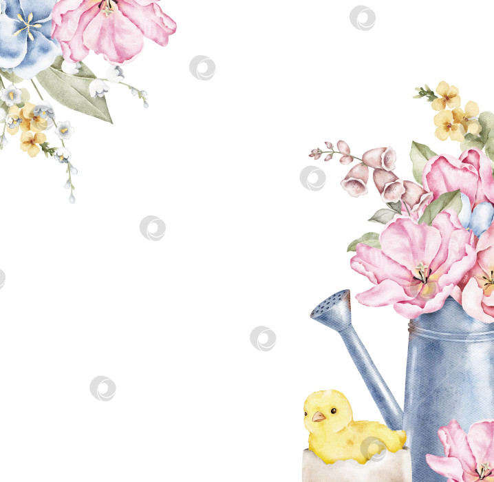 Скачать Акварельная угловая рамка с розовыми цветами, металлическим кувшином и маленьким желтым цыпленком. Подходит для открыток, приглашений, упаковки, этикеток, плакатов и дизайн-макетов на весеннюю или пасхальную тематику. фотосток Ozero