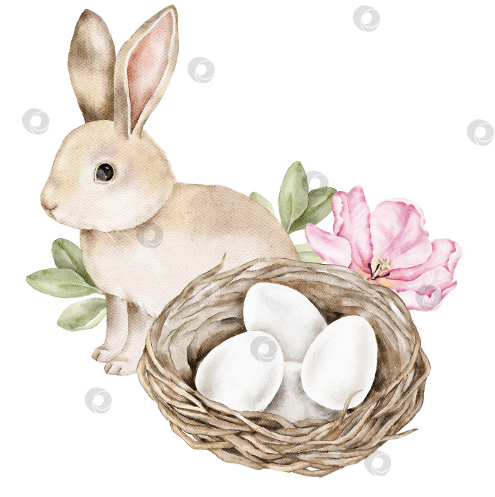 Скачать Акварельная иллюстрация пасхального кролика возле гнезда с яйцами и нежными цветами. Подходит для открыток, праздничных принтов, упаковки, плакатов и сезонных декоративных проектов. фотосток Ozero