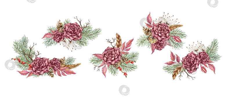 Скачать Букеты роз с соснами, набор перьев, акварель фотосток Ozero