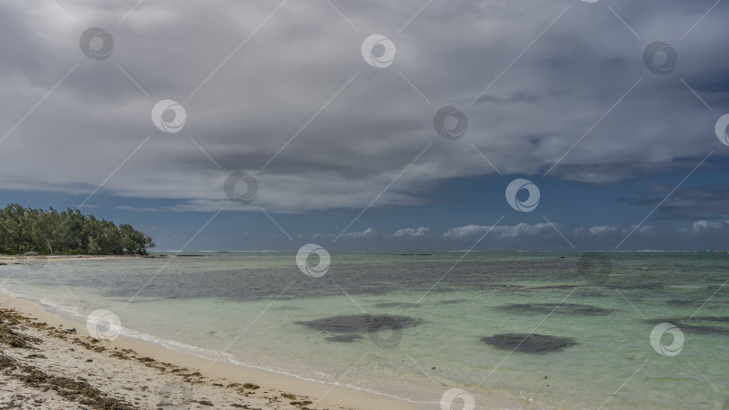 Скачать Уединенный тропический пляж, на котором нет людей. Сухие водоросли на белом песке. фотосток Ozero