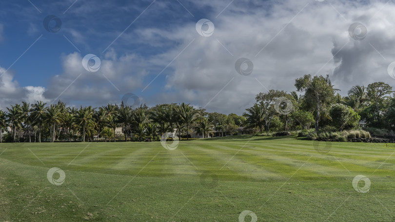 Скачать Поле для гольфа. Ровная поверхность с подстриженной зеленой травой. фотосток Ozero
