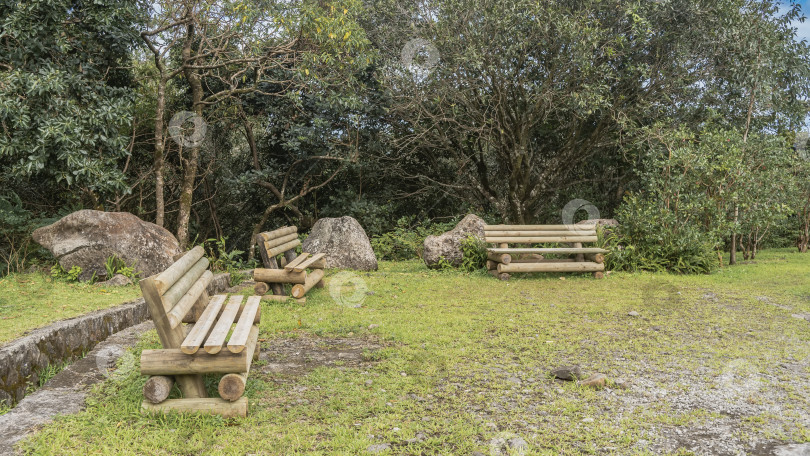 Скачать Некрашеные бревенчатые скамейки на лужайке в тропическом парке. фотосток Ozero