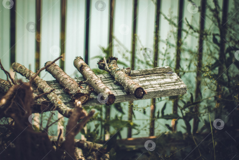 Скачать березовые дрова сушатся на солнце фотосток Ozero