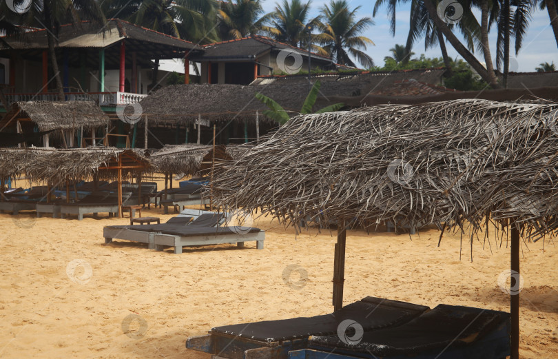 Скачать Пейзаж с пальмами и лежаками фотосток Ozero