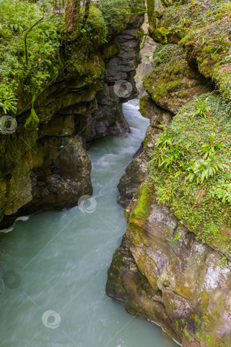 Скачать стремительное течение реки в глубоком ущелье фотосток Ozero