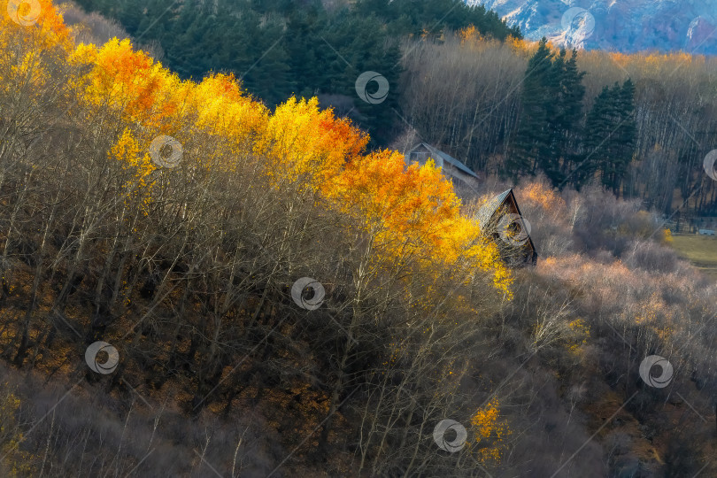 Скачать уютный деревянный дом и осенний лес фотосток Ozero