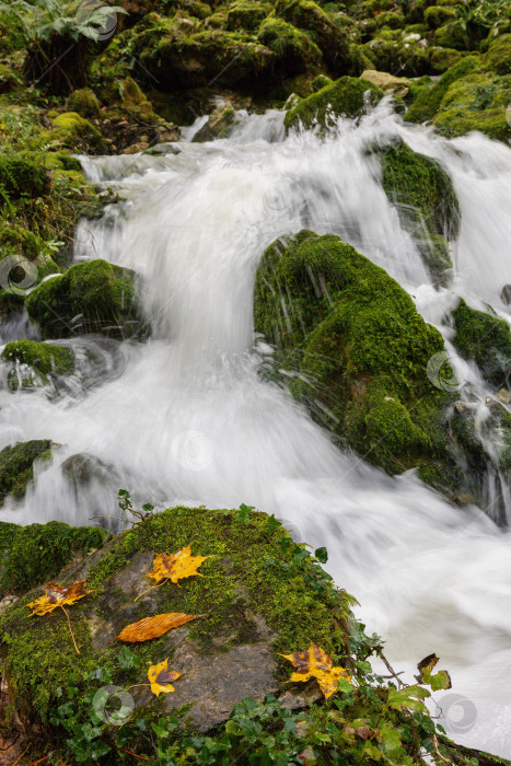 Скачать Водопад в осеннем лесу, каскад, камни фотосток Ozero