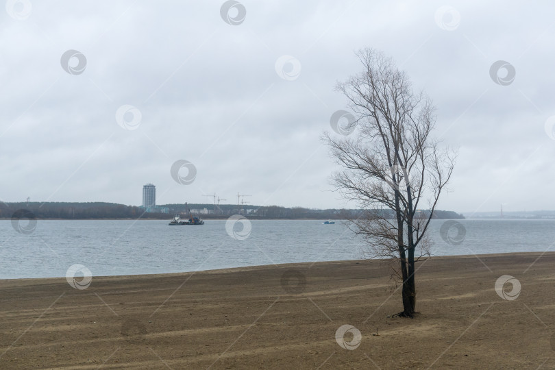 Скачать Одинокое дерево на берегу реки Камы. фотосток Ozero