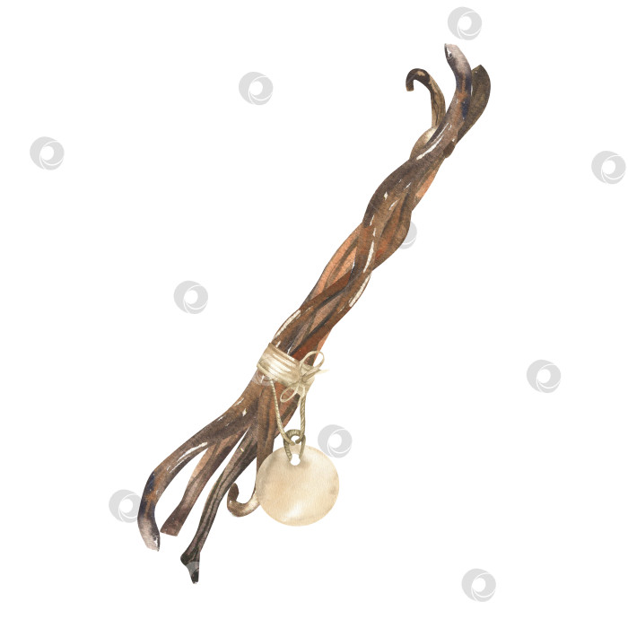 Скачать Ароматный стручок сушеных палочек ванили с акварельной иллюстрацией на винтажной бумажной этикетке. Рисованный от руки клипарт со сладкими специями, рисование выпечки и кулинарных приправ для упаковки продуктов, дизайна косметики. фотосток Ozero