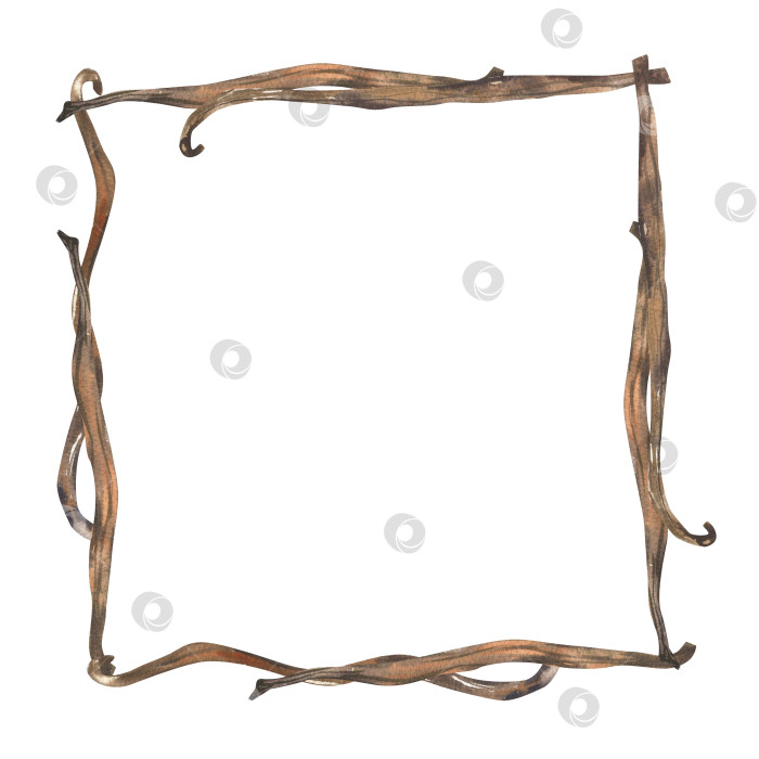 Скачать Шаблон акварельного баннера с сушеными палочками ванили в стручках. Нарисованные вручную сладкие специи для выпечки, органические экзотические ингредиенты для приготовления пищи, клипарт для упаковки продуктов, плаката, оформления меню фотосток Ozero