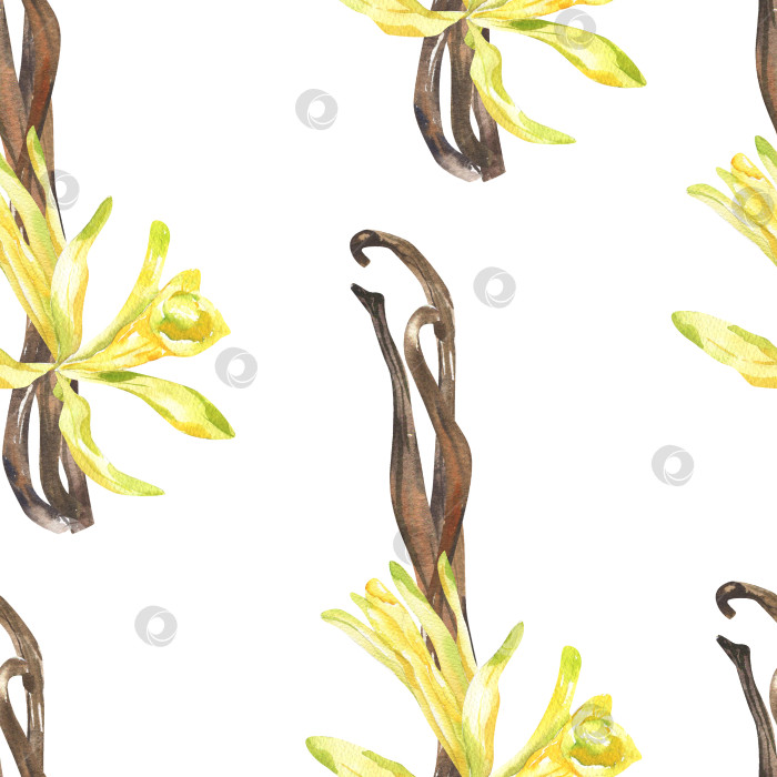 Скачать Ванильно-желтые цветы на сушеных ароматических палочках с бесшовным акварельным рисунком. Рисованный фон из органической косметики и продуктов для выпечки для канцелярских принадлежностей, упаковки, спа-дизайна. фотосток Ozero