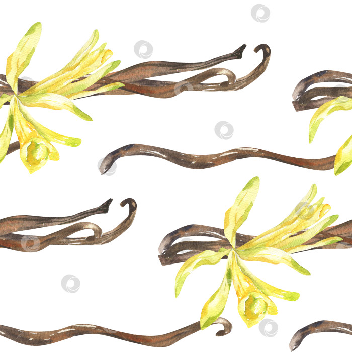 Скачать Цветы ванили и ароматная сушеная палочка с акварельным бесшовным рисунком. Нарисованный вручную фон из органических сладких специй с цветочным элементом орхидеи для упаковки продукции, оформления обоев фотосток Ozero