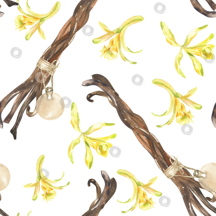 Скачать Сладкие стручки ванили на палочках с акварельным бесшовным рисунком желтых цветов. Органический пищевой ингредиент для выпечки, нарисованный вручную, сушеные специи и цветочный элемент из желтой орхидеи для упаковки косметики, обоев. фотосток Ozero