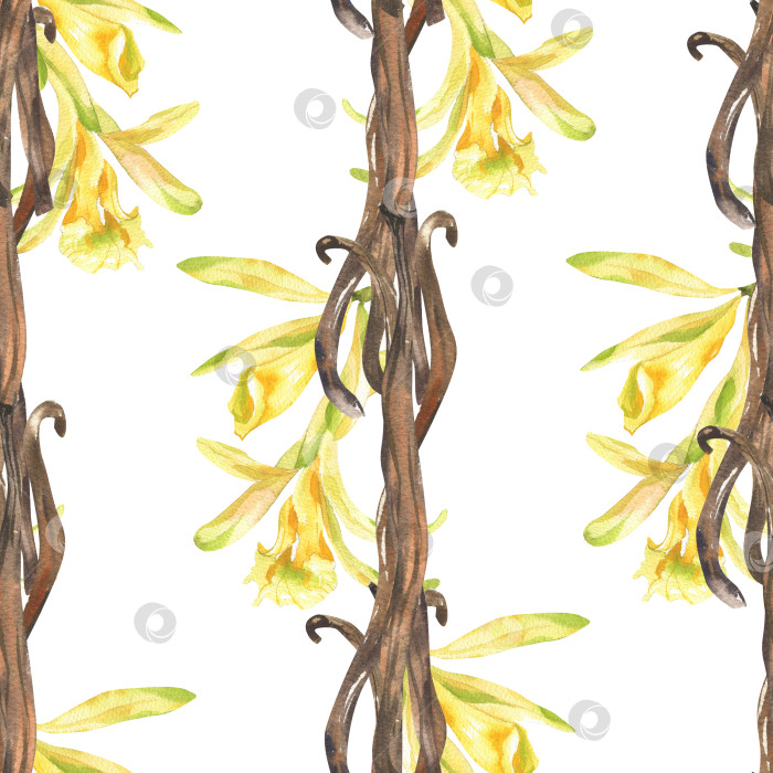 Скачать Органический акварельный узор "сладкие специи", выполненный акварелью, с изображением высушенного стручка ванили и цветов желтой орхидеи. Тропические цветы, ароматная ваниль, нарисованные вручную, для оформления упаковки. фотосток Ozero