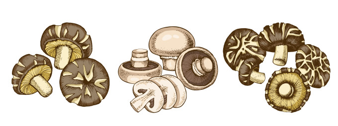 [object Object] undefined