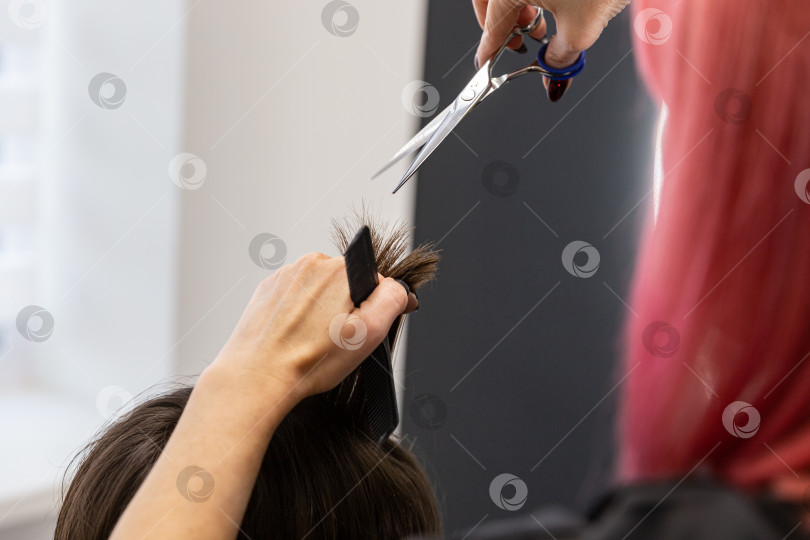 Скачать Стрижка волос фотосток Ozero